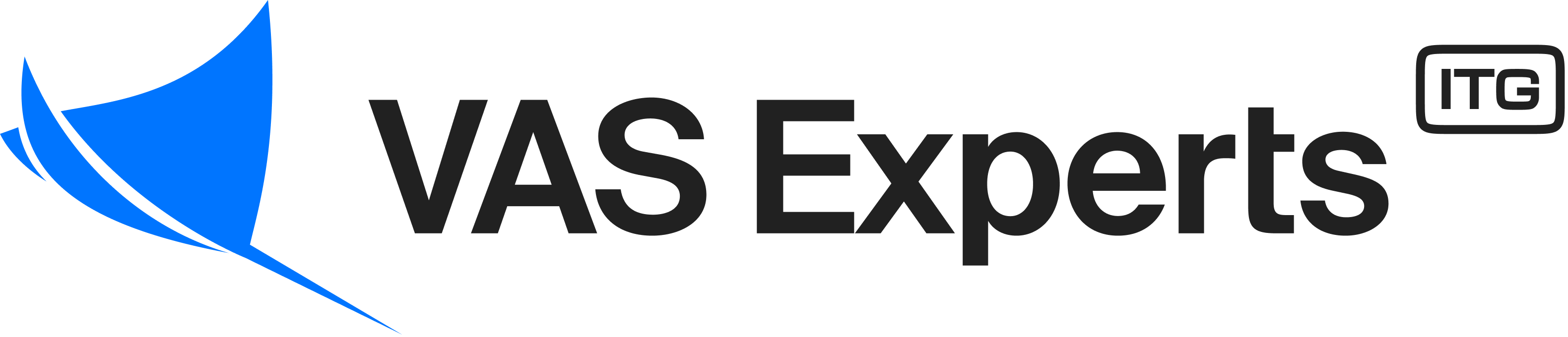 Logo__VAS-Experts__color-on-light